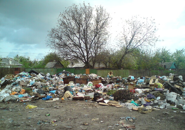 Люди согласны на то, чтобы мусор хоть иногда вывозили. Фото: Андрей Яшаров