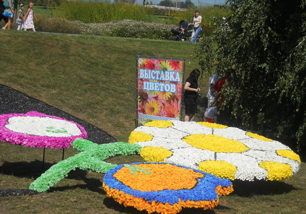 В Донецке открылась грандиозная выставка цветов