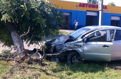 Машина врезалась в дерево. Фото: http://ilich.in.ua