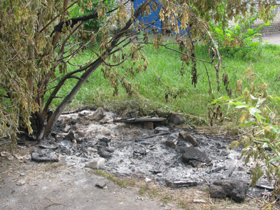 Новость - События - Шок! В Донецкой области заживо сожгли собаку и двух щенят