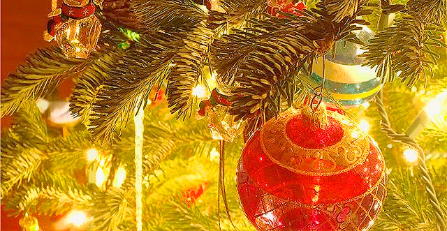 Главную елку откроют ко Дню святого Николая. Фото с сайта smolensk.ws