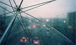 Дождь будет испытывать дончан до позднего вечера. Фото с сайта lenta-ua.net