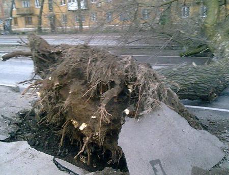 Всё утро работников аварийной службы контактных сетей трудились в поте лица. Фото с сайта donbass.ua