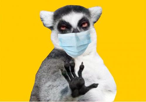 Новость - События - Смейся в маске: лучшие мемы про коронавирус
