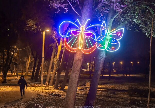 На ХТЗ деревья оккупировали светящиеся насекомые. Фото: Василий Голосный