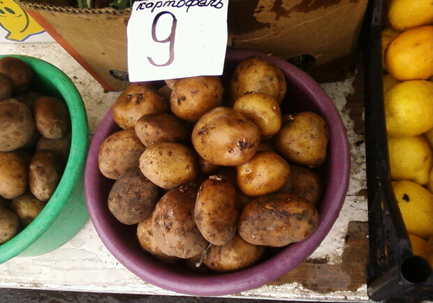 Сегодня в шахтерской столице килограмм обычного картофеля старого урожая продают в среднем по 9 гривен. Фото: Влад Беспалов