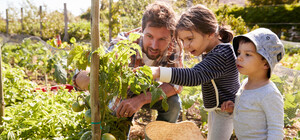 В Украине можно получить грант на сад или теплицу: как это сделать