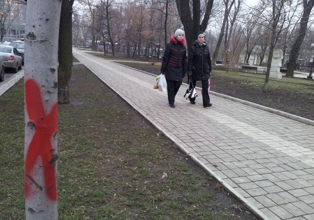 На бульваре Пушкина появились странные знаки в виде красных крестов. Фото: Павел Колесник