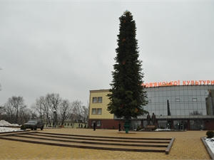 Донецкий  Митрополит зовет на рождественскую елку. Будут гуляния и колядки. Фото Константина Буновского с сайта kp.ua