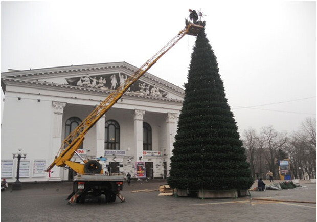 Снимки предоставлены производителем больших елок из города Тернополь. Здесь отоварились десятки городов Украины. Фото: http://elkaua.com