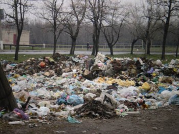 Тело 9-летней Мирославы нашли в мусорном баке в том же районе, где видели последний раз. Фото: krluch.info