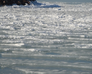 Поменявший направление ветер унес скованное льдинами суденышко с 6 рыбаками в открытое море. Фото: sxc.hu
