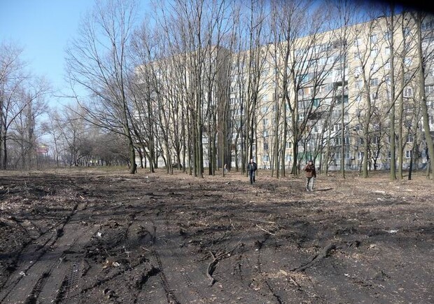 Жители микрорайона возмущены вырубкой зеленых насаждений. Фото: ostro.org 