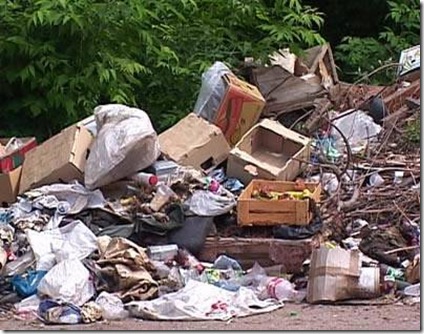 Коммунальщики говорят: мусор уберем, если договоры заключите. Фото: dooi.com.ua