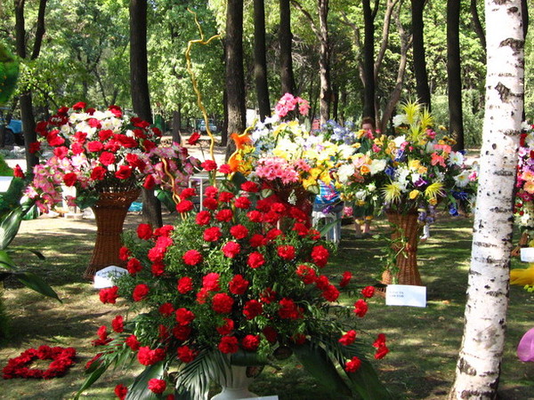 В парке Щербакова откроют выставку цветов. Фото: blogs.mail.ru