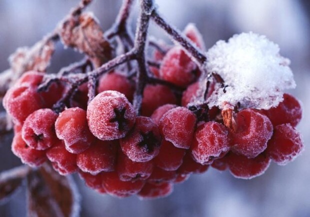 Зима продолжается. Фото с сайта bygaga.com.ua